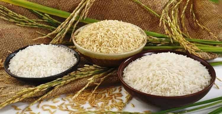 Rice